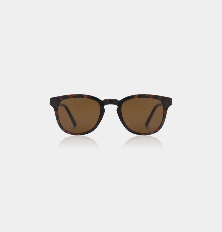  Bate –Demi Tortoise
