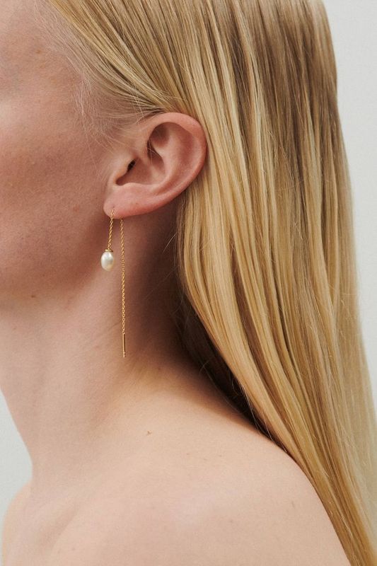 Lagoon Earchains Gull 
